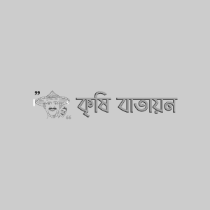 FTIP BAU মিষ্টি কুমড়া-১