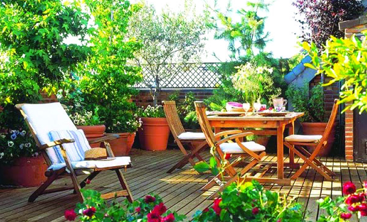 বর্ষায় ছাদ বাগানের যত্ন